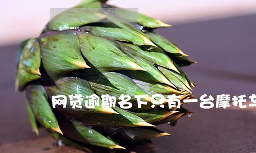 网贷逾期名下只有一台摩托车 网贷逾期名下只有一台摩托车