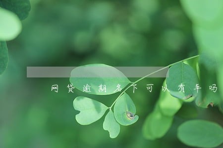 网贷逾期名下可以有车吗