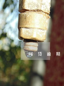 网贷逾期名下房产可以过户吗 网贷逾期名下房产可以过户吗