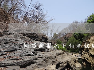 网贷逾期名下有全款房 网贷逾期名下有全款房