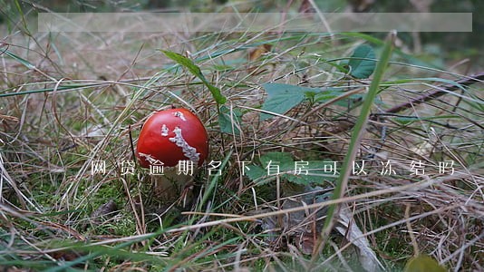 网贷逾期名下有房可以冻结吗 网贷逾期名下有房可以冻结吗