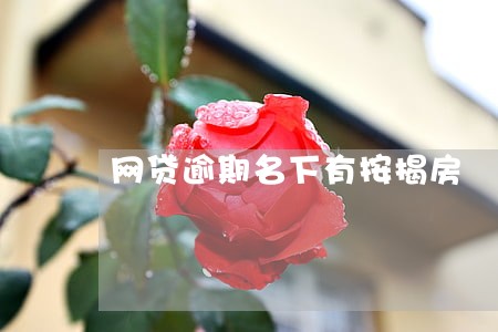 网贷逾期名下有按揭房 网贷逾期名下有按揭房