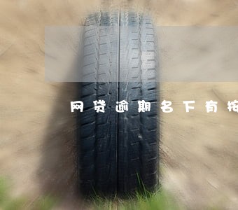 网贷逾期名下有按揭房会被执行吗 网贷逾期名下有按揭房会被执行吗