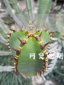 网贷逾期名下有物业 网贷逾期名下有物业