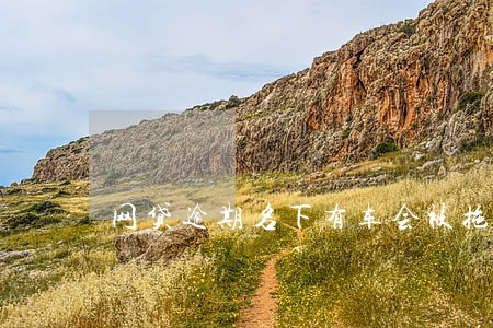 网贷逾期名下有车会被拖走么 网贷逾期名下有车会被拖走么