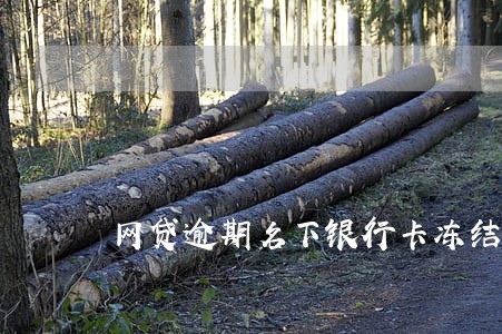 网贷逾期名下银行卡冻结 网贷逾期名下银行卡冻结