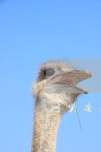 网贷逾期名单公布 网贷逾期名单公布