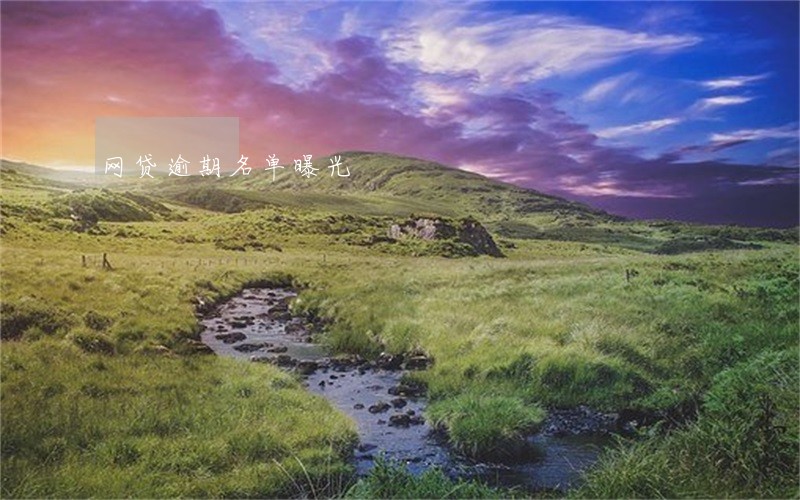 网贷逾期名单曝光 网贷逾期名单曝光