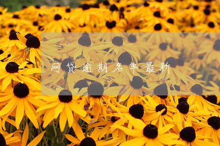 网贷逾期名单最新 网贷逾期名单最新