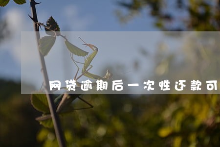 网贷逾期后一次性还款可以减免吗 网贷逾期后一次性还款可以减免吗