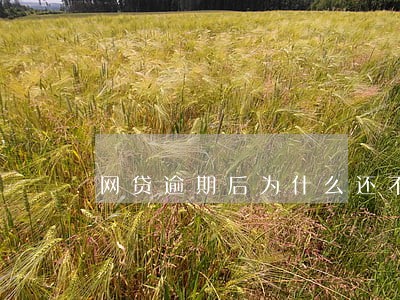 网贷逾期后为什么还不上 网贷逾期后为什么还不上