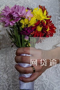 网贷逾期后主动还 网贷逾期后主动还