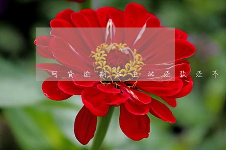 网贷逾期后主动还款还不进去 网贷逾期后主动还款还不进去