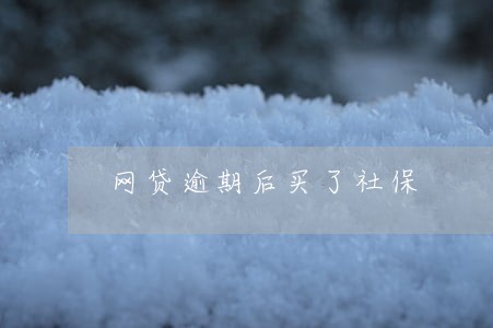 网贷逾期后买了社保 网贷逾期后买了社保