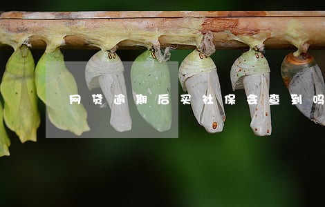 网贷逾期后买社保会查到吗