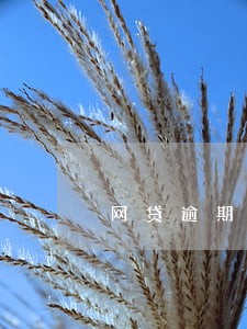 网贷逾期后交给风险调查科 网贷逾期后交给风险调查科