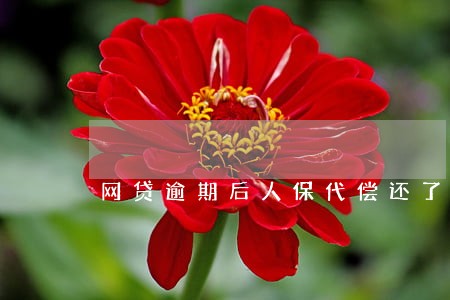 网贷逾期后人保代偿还了 网贷逾期后人保代偿还了