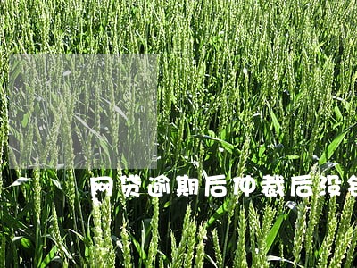 网贷逾期后仲裁后没钱还