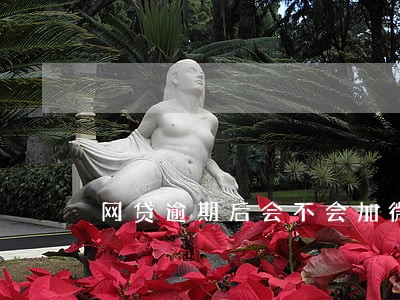 网贷逾期后会不会加微信