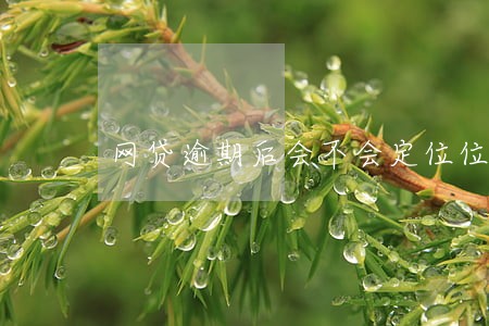 网贷逾期后会不会定位位置 网贷逾期后会不会定位位置