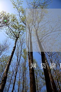 网贷逾期后会不会每天自动扣款 网贷逾期后会不会每天自动扣款