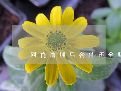 网贷逾期后会催还全款