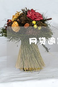 网贷逾期后会判刑吗 网贷逾期后会判刑吗