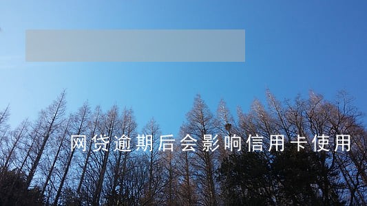 网贷逾期后会影响信用卡使用 网贷逾期后会影响信用卡使用
