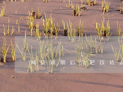 网贷逾期后会把钱转走吗 网贷逾期后会把钱转走吗