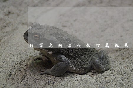 网贷逾期后会拨打通讯录 网贷逾期后会拨打通讯录