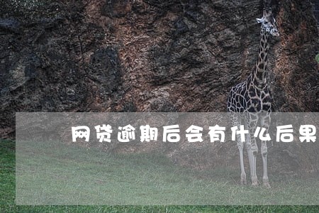 网贷逾期后会有什么后果
