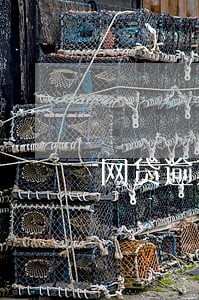 网贷逾期后会有利息产生吗 网贷逾期后会有利息产生吗