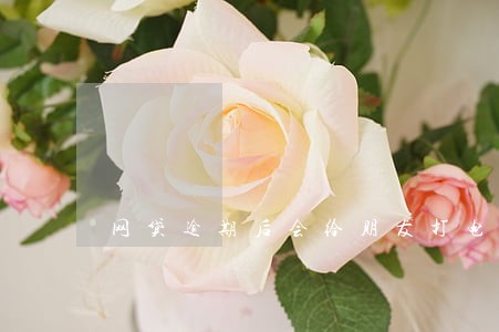 网贷逾期后会给朋友打电话吗 网贷逾期后会给朋友打电话吗