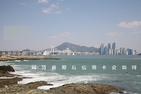 网贷逾期后信用卡会如何