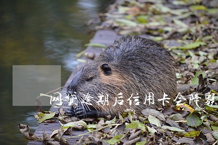 网贷逾期后信用卡会降额度吗 网贷逾期后信用卡会降额度吗