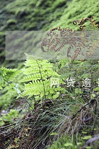 网贷逾期后信用卡办理不了 网贷逾期后信用卡办理不了