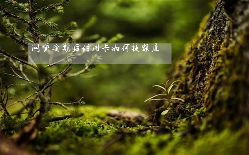 网贷逾期后信用卡如何提额度 网贷逾期后信用卡如何提额度