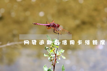 网贷逾期后信用卡涨额度 网贷逾期后信用卡涨额度