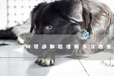网贷逾期后信用多久会恢复 网贷逾期后信用多久会恢复