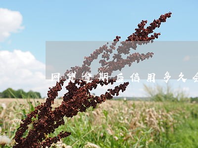 网贷逾期后信用多久会清空 网贷逾期后信用多久会清空