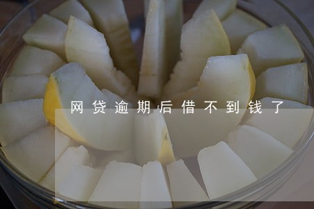 网贷逾期后借不到钱了 网贷逾期后借不到钱了