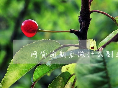 网贷逾期后做什么副业 网贷逾期后做什么副业