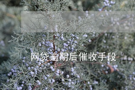 网贷逾期后催收手段 网贷逾期后催收手段
