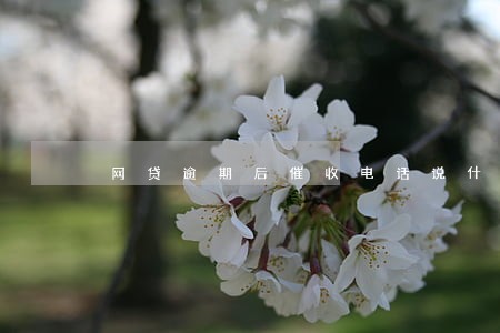 网贷逾期后催收电话说什么 网贷逾期后催收电话说什么