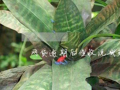 网贷逾期后催收说减免真的吗