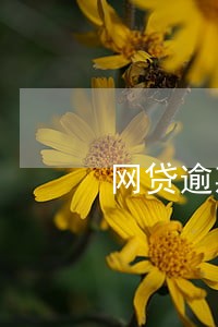 网贷逾期后全款还有什么优惠吗 网贷逾期后全款还有什么优惠吗