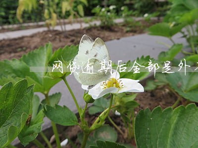 网贷逾期后全部是外省电话打来 网贷逾期后全部是外省电话打来