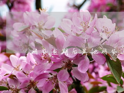 网贷逾期后其他网贷还能借吗 网贷逾期后其他网贷还能借吗