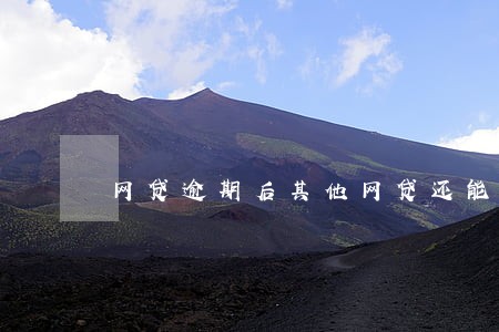 网贷逾期后其他网贷还能贷吗 网贷逾期后其他网贷还能贷吗
