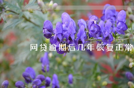 网贷逾期后几年恢复正常 网贷逾期后几年恢复正常